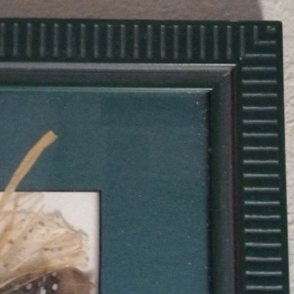 Joan Casey Unique Framed Feather/Heart Art - Picture 5 of 8